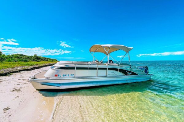 476837322_9962489830451901_7831920469942156957_n