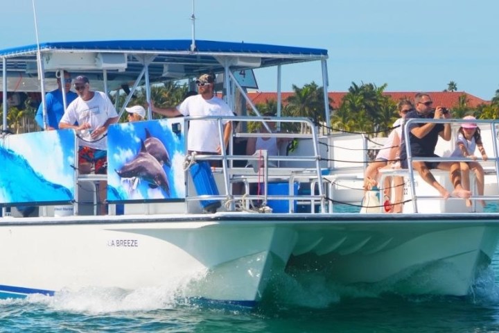 Tourists on a boat in tropical waters with palm trees in the background.
